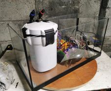 Starter aquarium