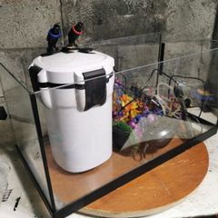 Starter aquarium