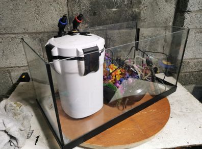 Starter aquarium