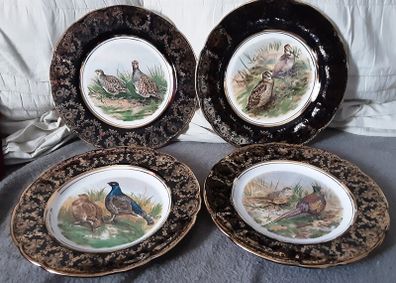 Arklow pottery bird plates