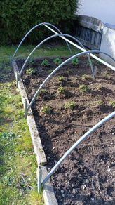 framing for plants