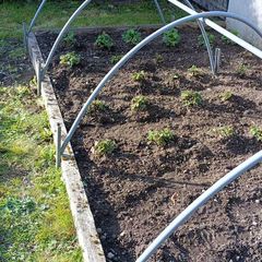framing for plants