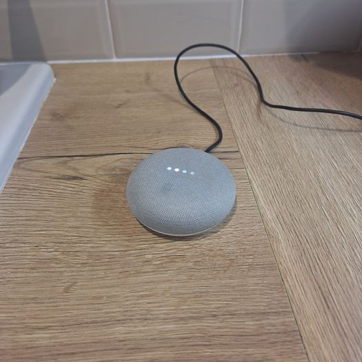 Google Nest Mini