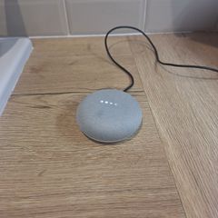 Google Nest Mini