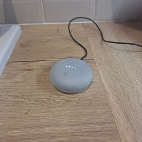 Google Nest Mini