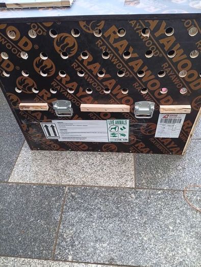 crate for shipping pets