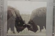 U2  2cd  - Best Of 1990-2000