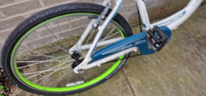 adult Bike