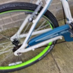 adult Bike