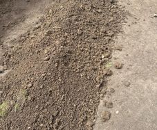 Free Topsoil