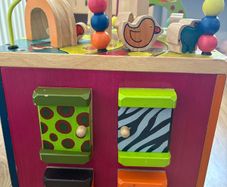 Zany zoo activity cube