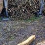 free wood tree Image 3