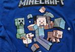 Minecraft Long Sleeve Top.   Age 11-12