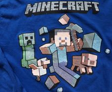 Minecraft Long Sleeve Top.   Age 11-12