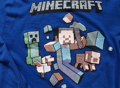 Minecraft Long Sleeve Top.   Age 11-12