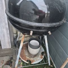 Bbq