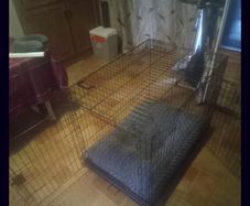 Large Dog Cage With Bed.
