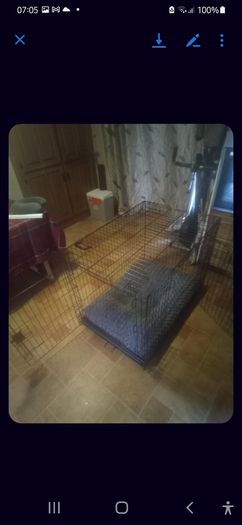 Large Dog Cage With Bed.