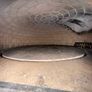 Commercial Gas Pizza Oven Image 6