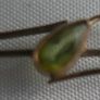 Vintage Edwardian 9ct Gold Bar Brooch With Ametyst 1.7g And Box Image 9