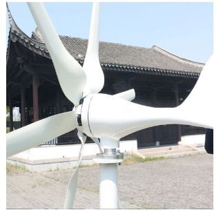 800W 48V Wind Turbine Generator with Controller 6 Blade