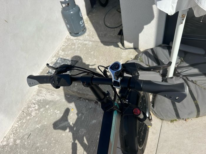 Fiido M1 Pro Electric Bike
