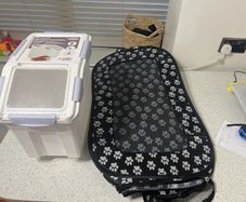 dog items