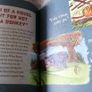 Winnie-The-Pooh Book Image 8