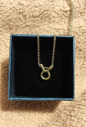 Taurus Zodiac Necklace Celestial & Personal Charm