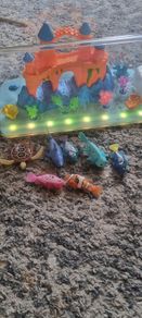 Robo alive aquarium and robo fish assortment