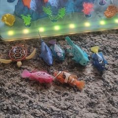 Robo alive aquarium and robo fish assortment