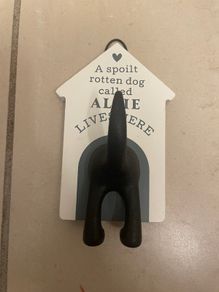 Dog lead Holder