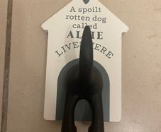 Dog lead Holder