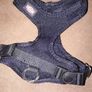 dog harness x2 Image 2