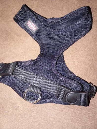 dog harness x2