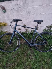 Ridgeback Bike