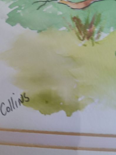 Lovely Framed Watercolor Painting Signed C. Collins .