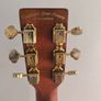 Tanglewood lefty Image 4