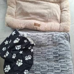 Dog beds