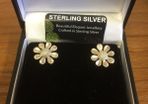 Sterling Silver Earring