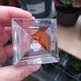 David Beckham, Intimately. 30 ml. Original, with batch code. Image 3