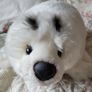 Lovely seal teddy bear Image 4