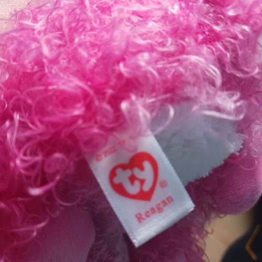 Pink Cat Teddy