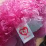 Pink Cat Teddy Image 2