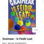 Is feidir leat irish grammer bn Image 4