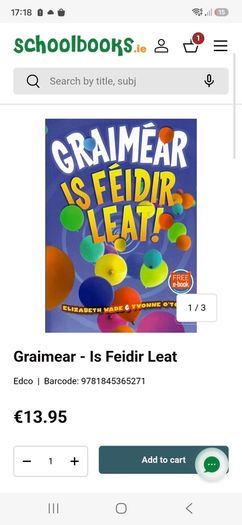 Is feidir leat irish grammer bn
