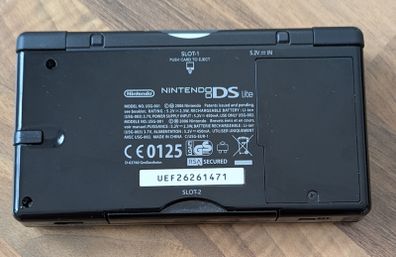 Nintendo DS Lite