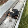 Ladder (3.2m) Image 5