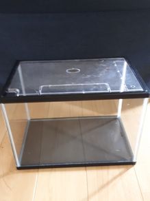 Small Aquarium / Fish tank