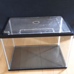 Small Aquarium / Fish tank